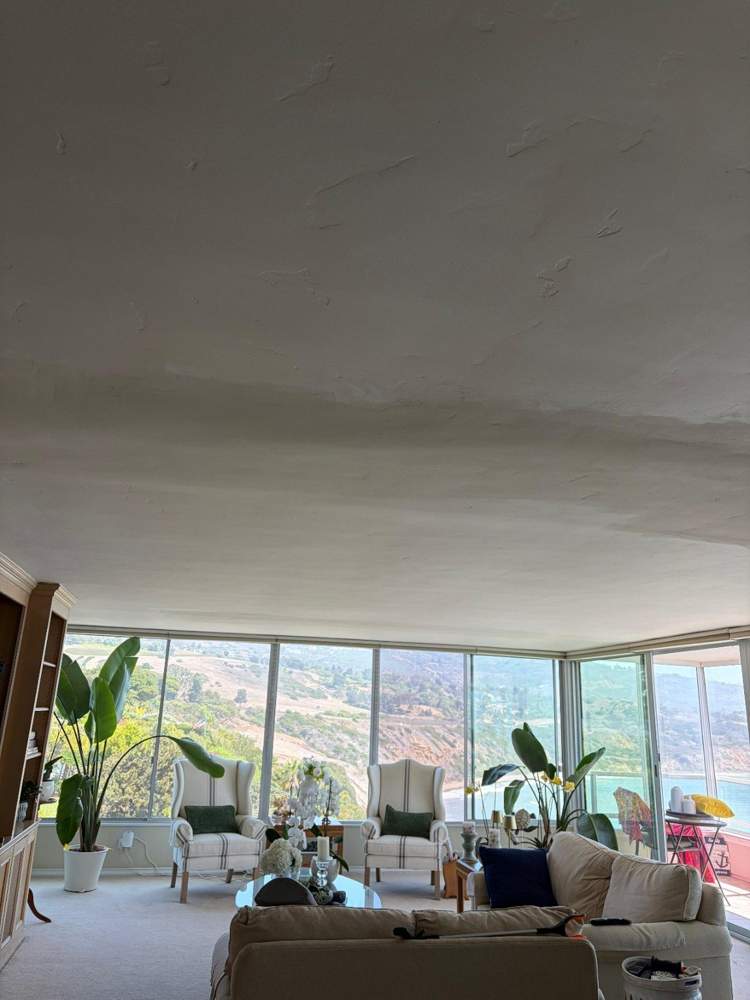 Living and dining area ceiling