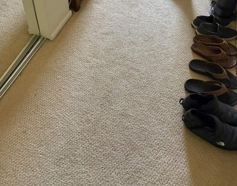 Existing carpet and perimeter condition